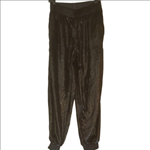 Black Velvet Jogger / Jasmine Pants. Super Shiny For The Holidays. Size Small.